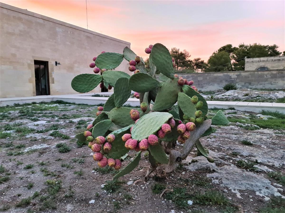 Masseria Specchiulla 奥特朗托 外观 照片